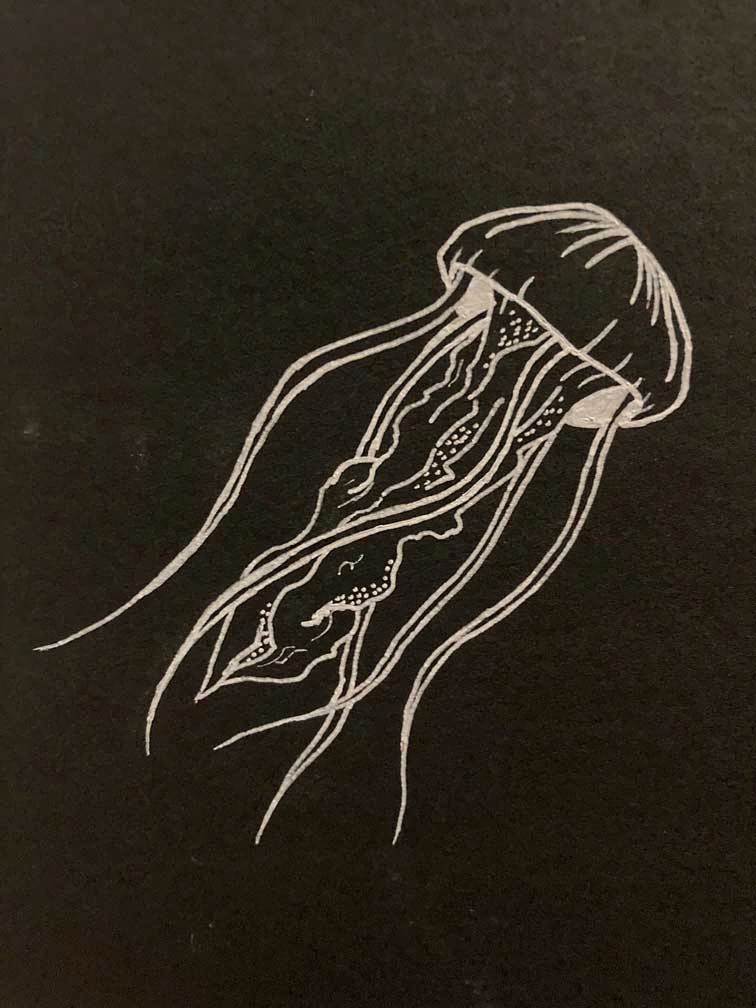 Art 31